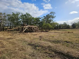 cleaning up trees after storm damage stacked in heaps to burn